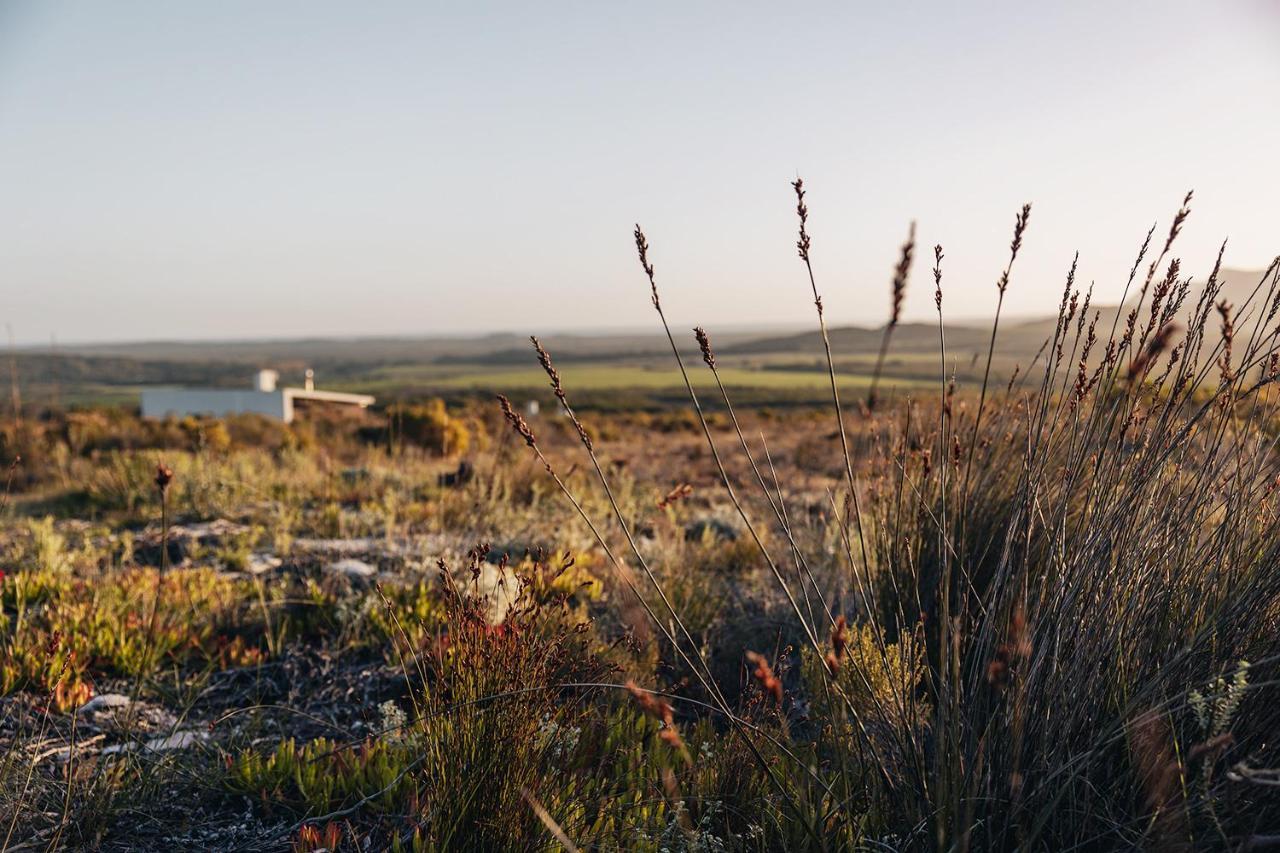 Farm 215 Private Nature Reserve Uilenkraal Eksteriør bilde